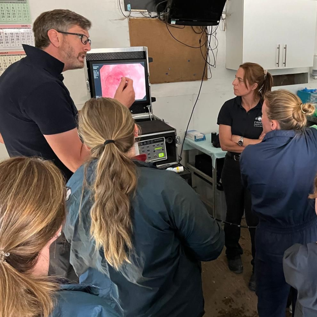a teacher showing a group of vet students a biological photo on a screen