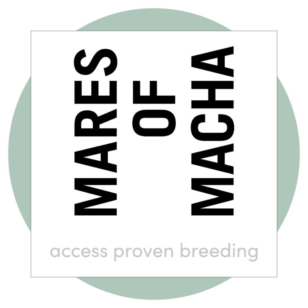 Mares of Macha logo