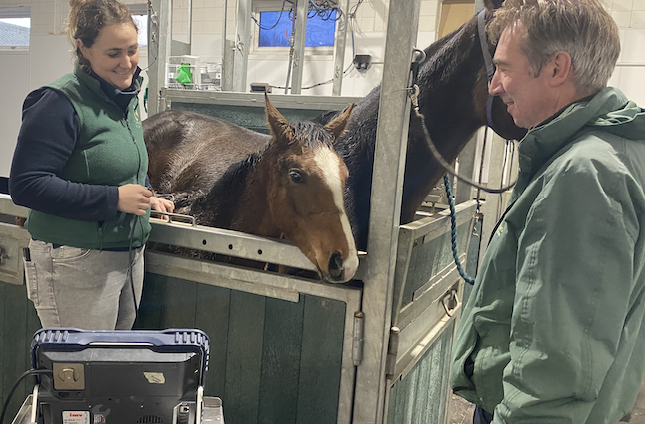 two people looking at scan of a horse in the horse's indoor environment